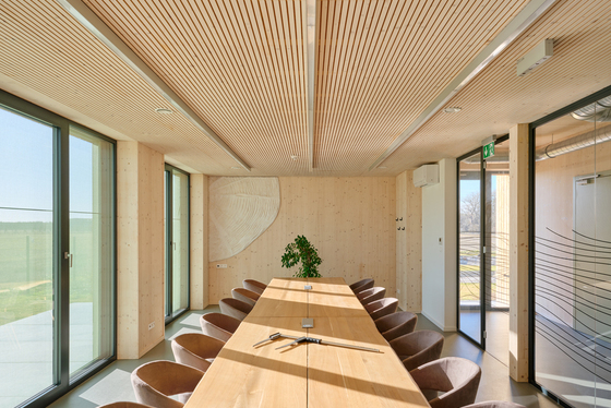 Masivní dřevo jako architektonický nástroj