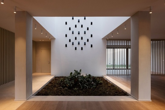 Ve světle přírodních textur